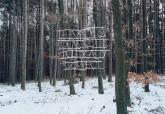 Кирил Прашков - This Forest Looks Quite Politically Correct, 1995